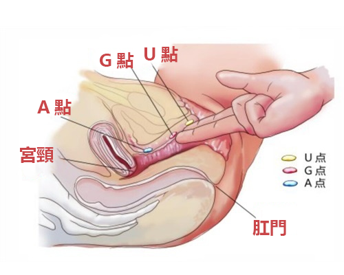 G點圖